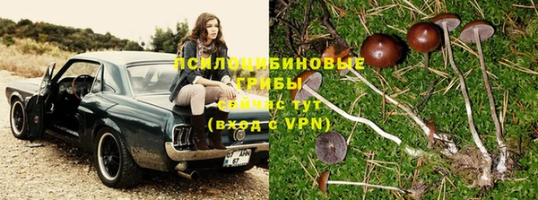 шишки Алексин