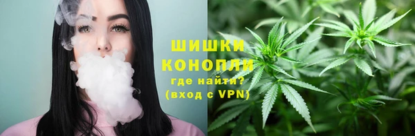 apvp Алзамай