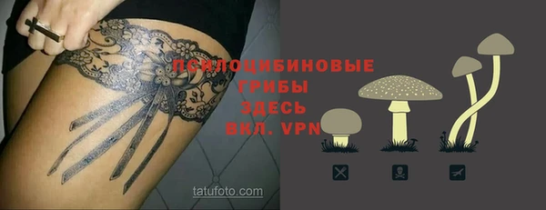 apvp Алзамай
