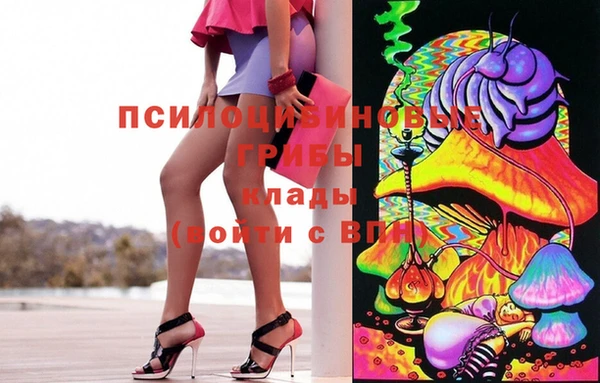 apvp Алзамай