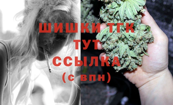 шишки Алексин