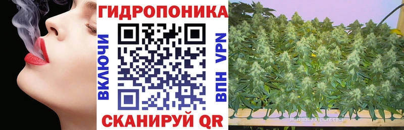 Марихуана Amnesia  Бокситогорск 